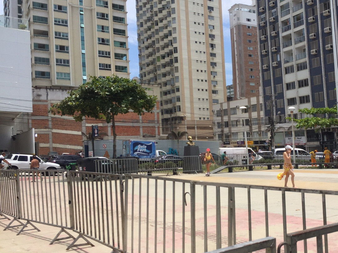 Praca Almirante Tamandare景点图片