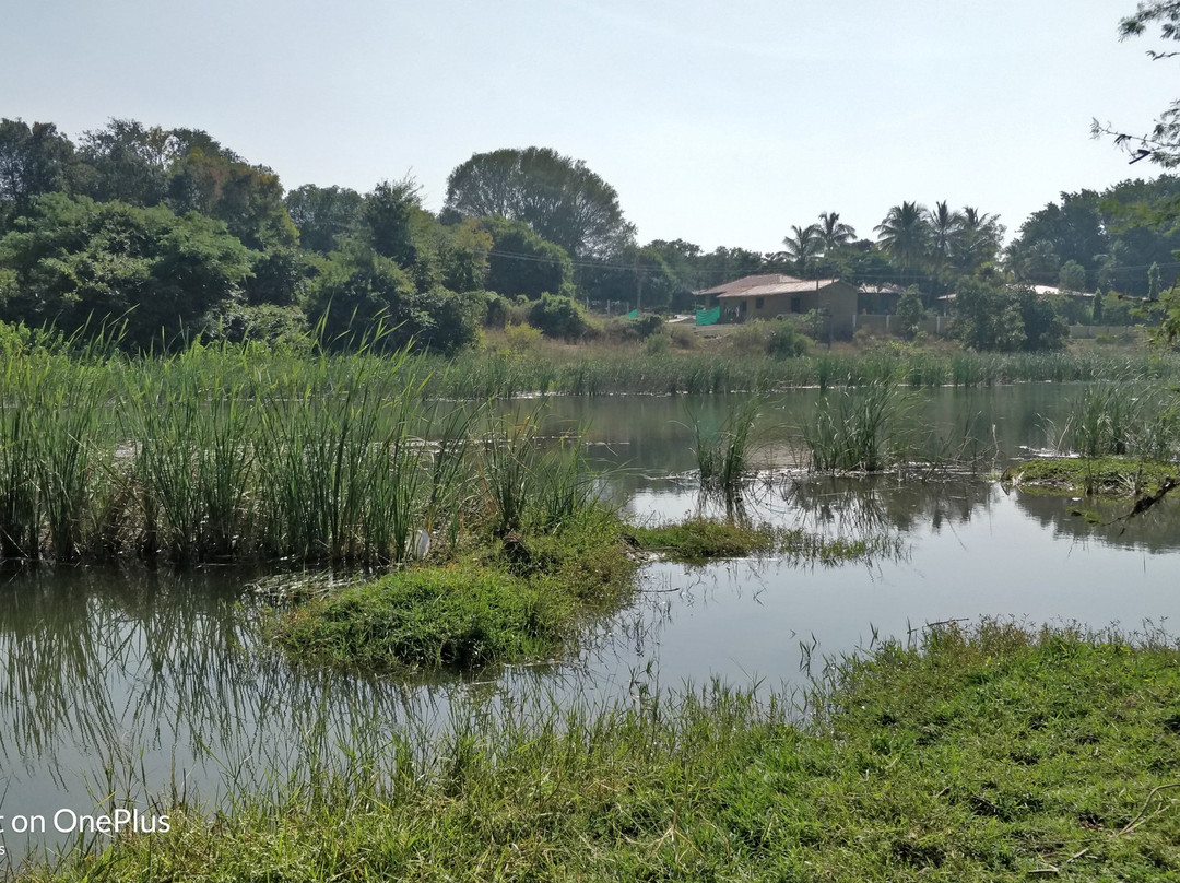 Hotel Anil Farmhouse主图