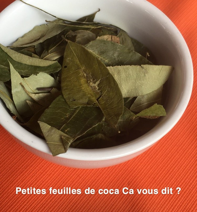 Miskiwasi B & B主图