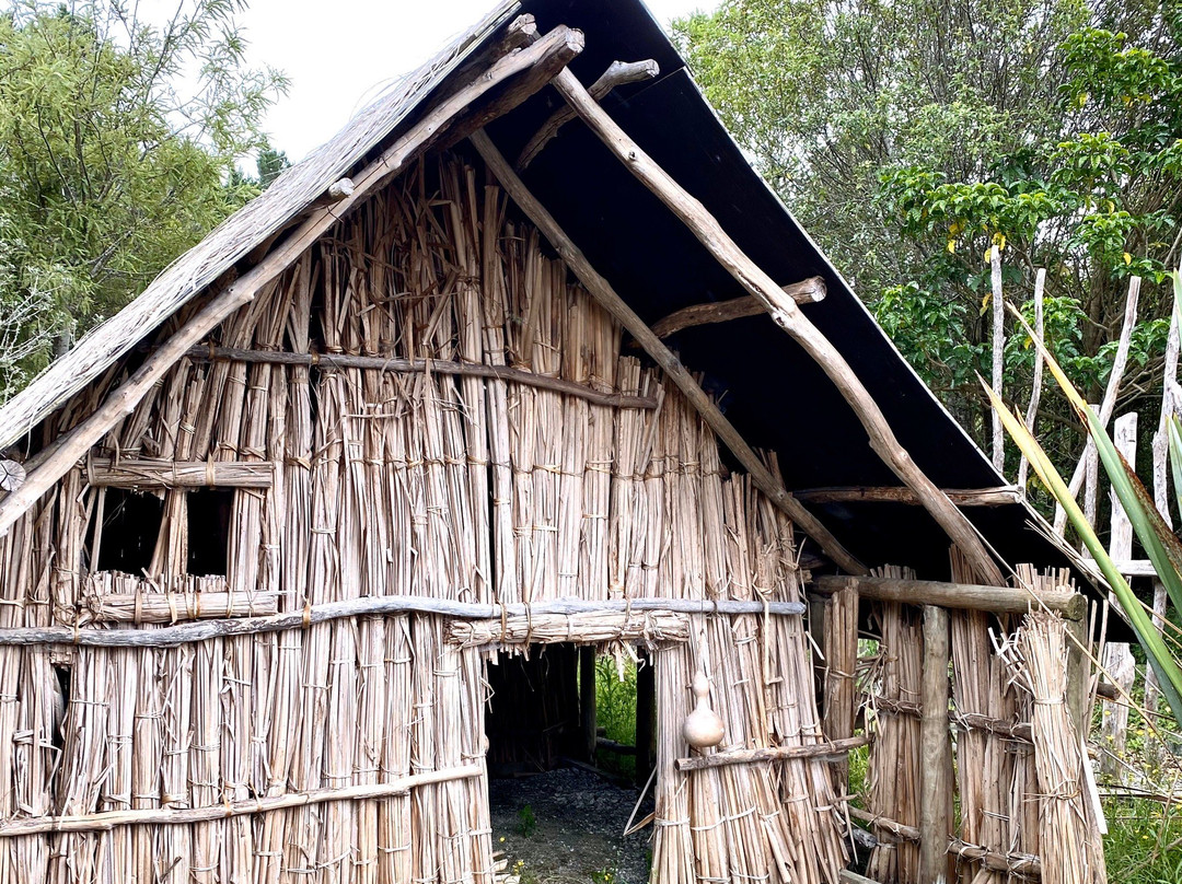 Te Hana Te Ao Marama Maori Cultural Centre-蒂哈纳必去景点