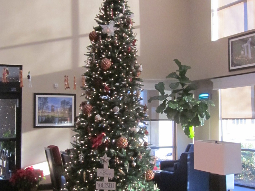 Comfort Suites Wilson - I - 95主图