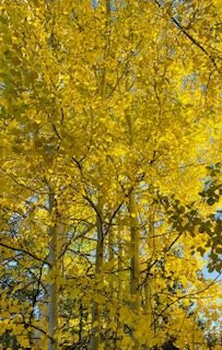 Pharmstrong-布雷肯里奇必去景点