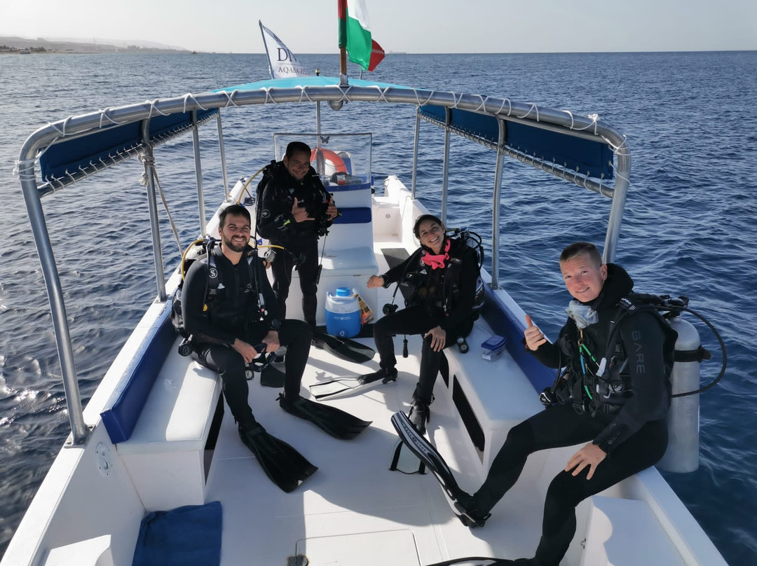 Sinai Divers Aqaba-亚喀巴必去景点