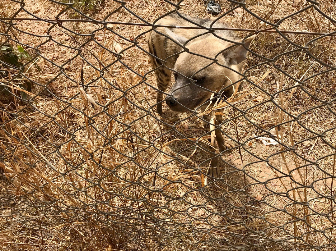 Parc Animalier-瓦加杜古必去景点