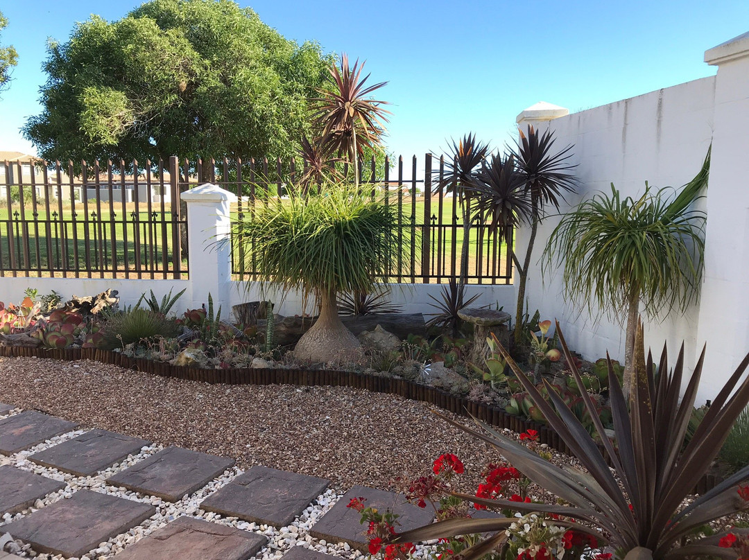 马卡里奥斯 B & B主图