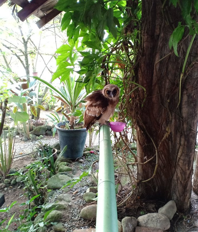 Sahom Valley - Agro & Eco Resort主图