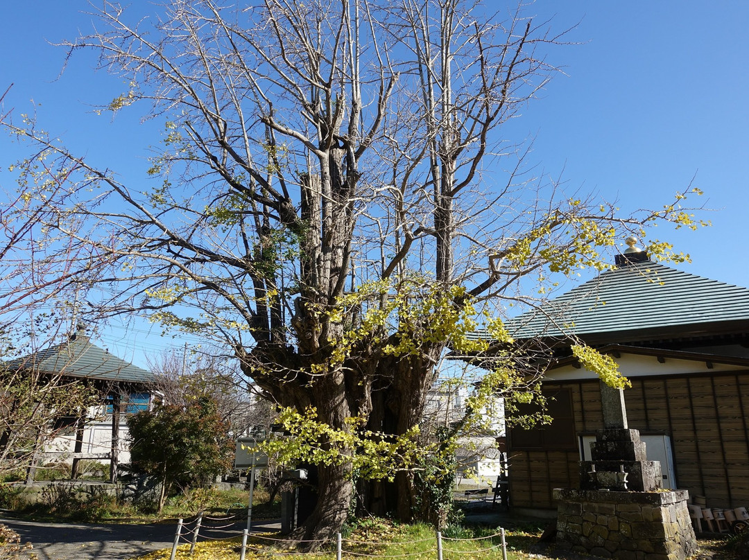 Syougen-ji Temple景点图片