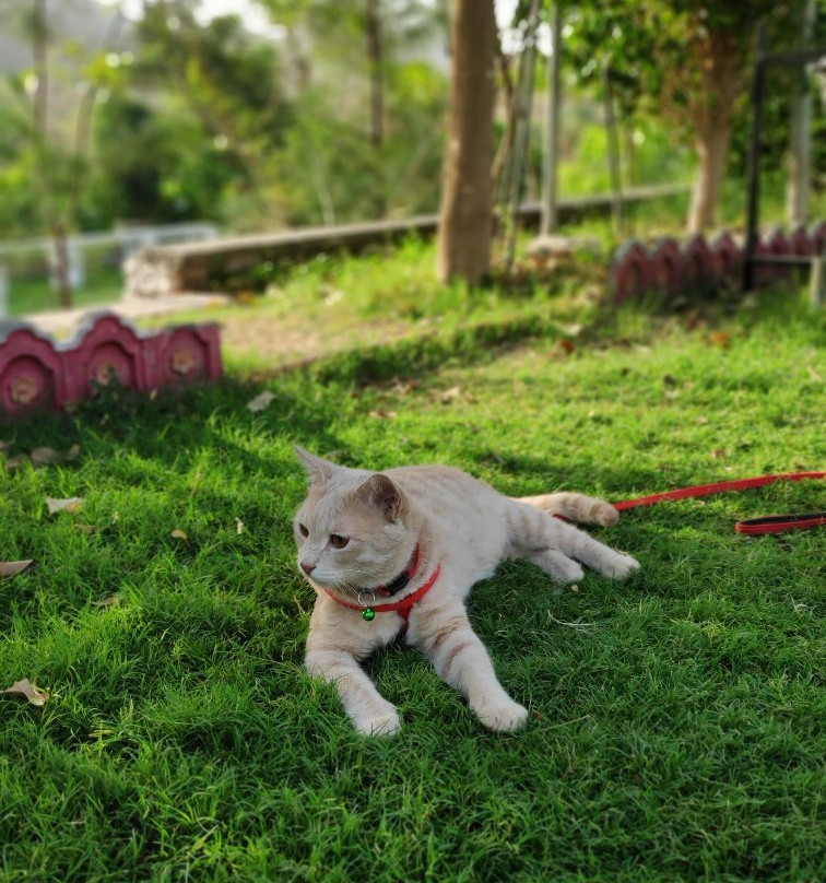 Vyomanh Home Stay Jaisamand Udaipur主图