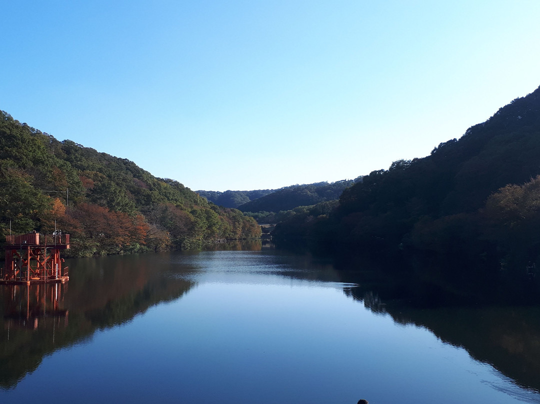 Ogoto Dam景点图片
