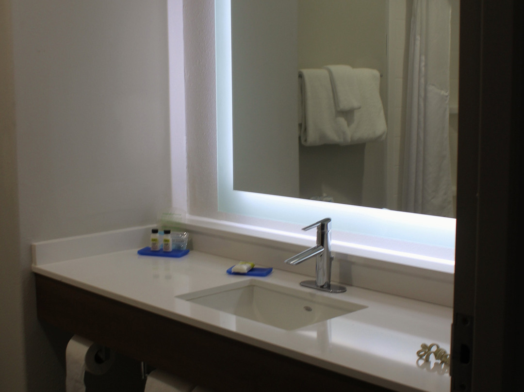 Holiday Inn Express & Suites Seguin By IHG主图