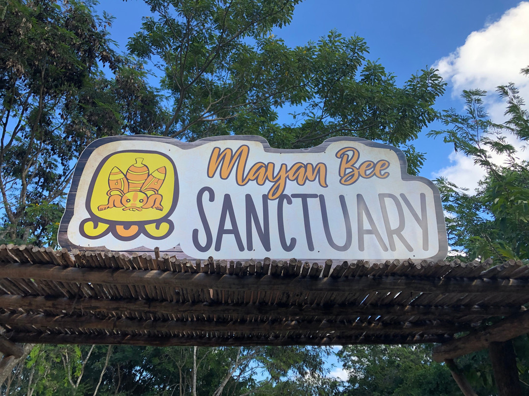 Mayan Bee Sanctuary景点图片