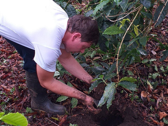 Coffea diversa-Buenos Aires必去景点
