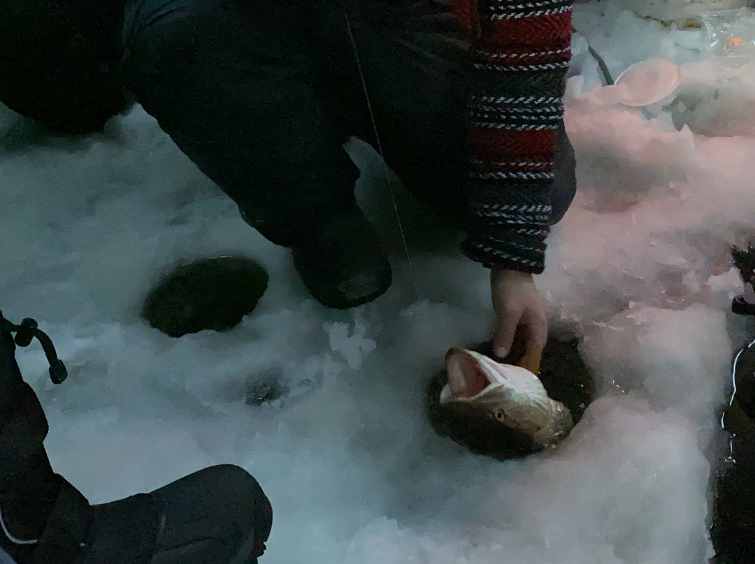 Yellowknife Sportfishing Adventures-黄刀镇必去景点