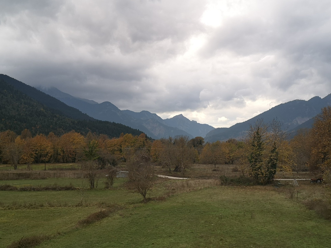 Naiades Guesthouse主图