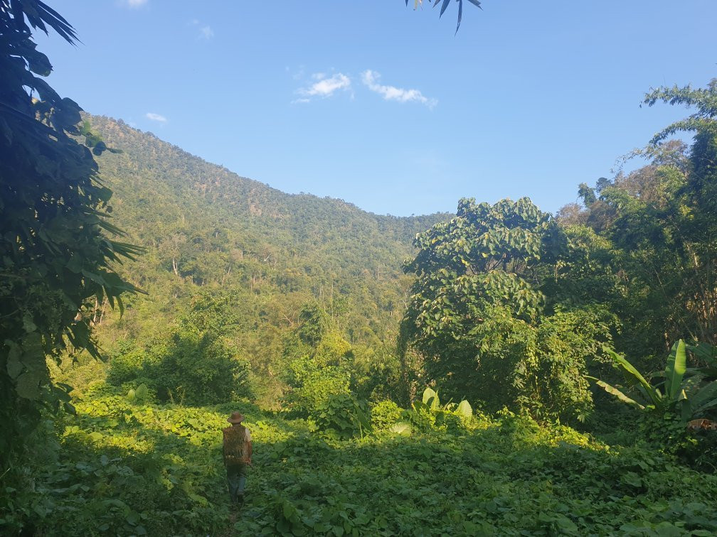 Hsipaw Trekking Myanmar-西保必去景点