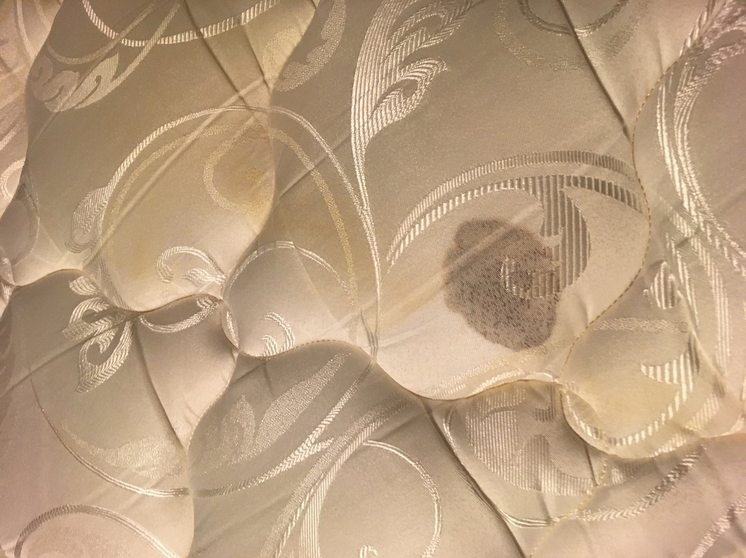 Extended Stay America Pleasant Hill - Buskirk Ave.主图