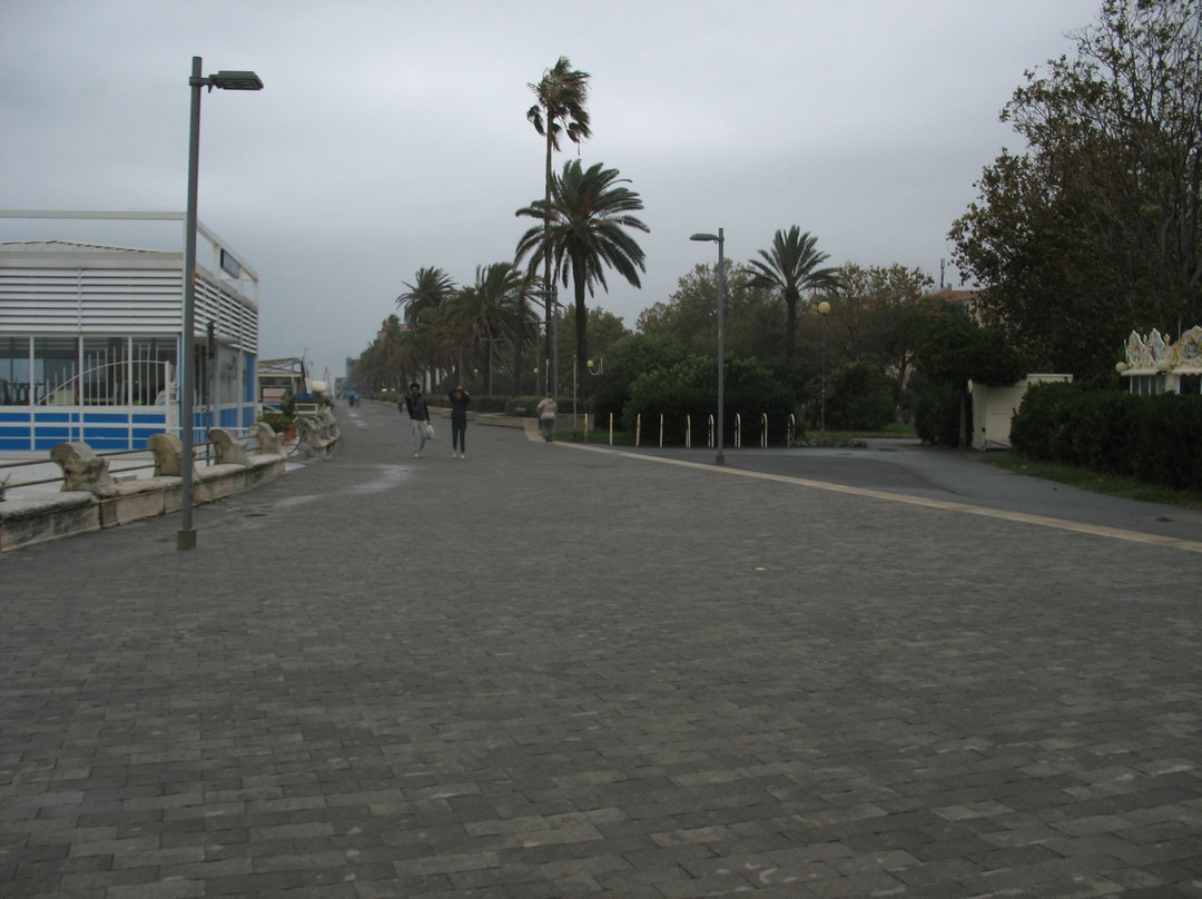 Monumento a Garibaldi-萨沃纳必去景点