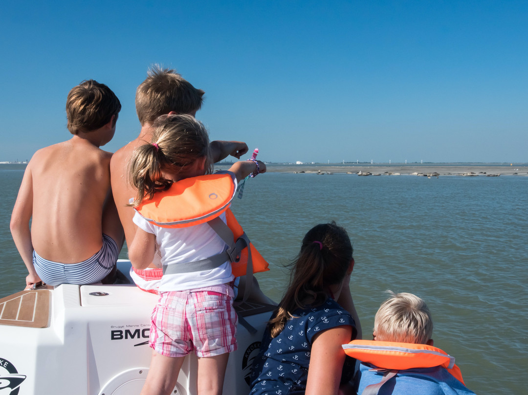 Wavekarting Cadzand-Cadzand必去景点