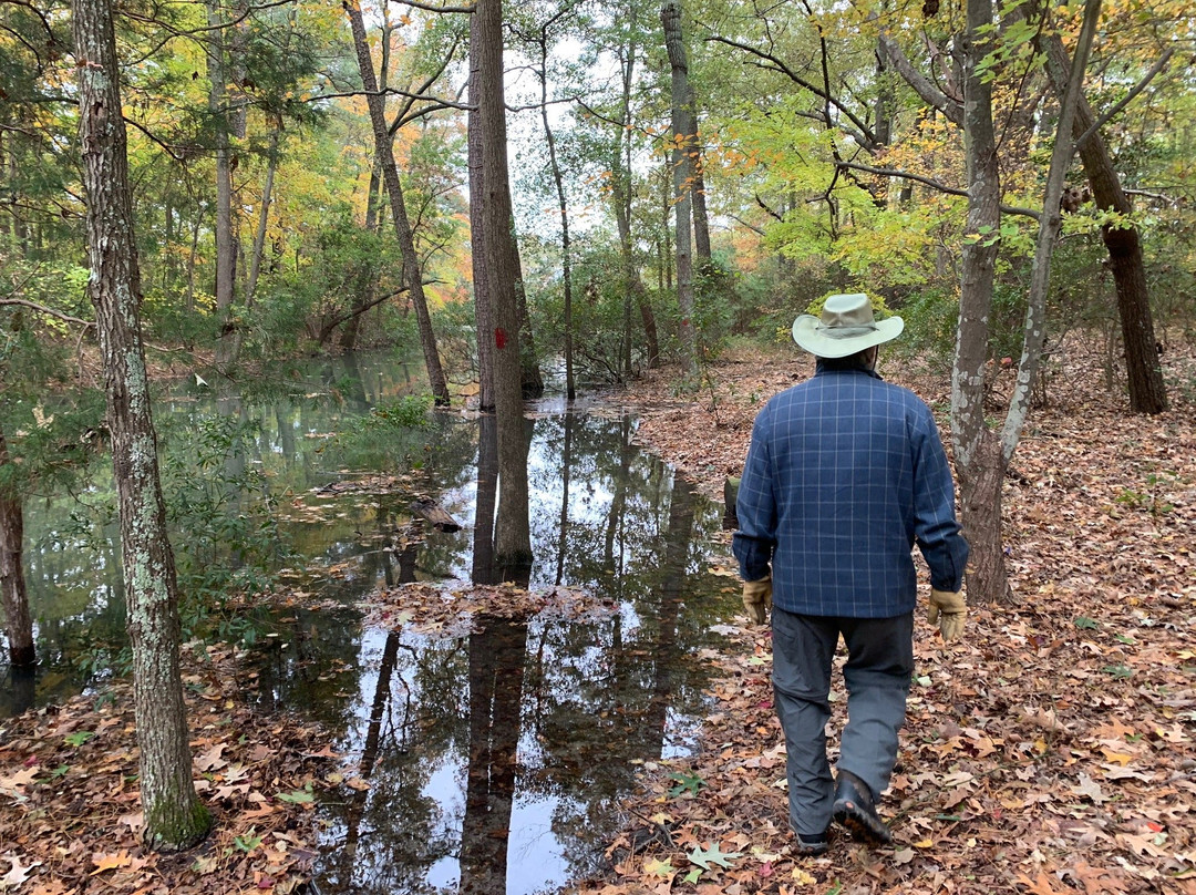 Hoffler Creek Wildlife Preserve-朴次茅斯必去景点