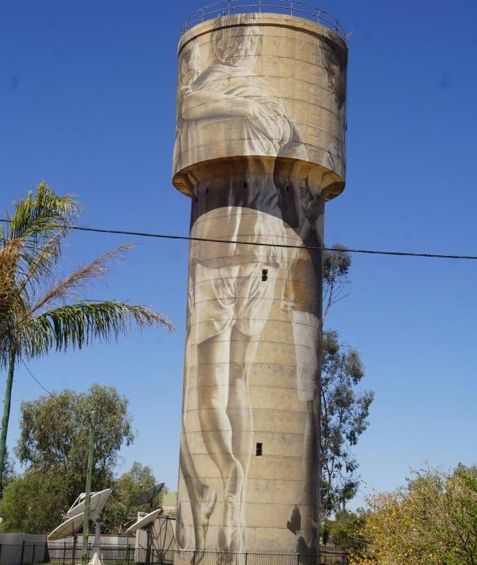 Cunnamulla Water Tower Art景点图片