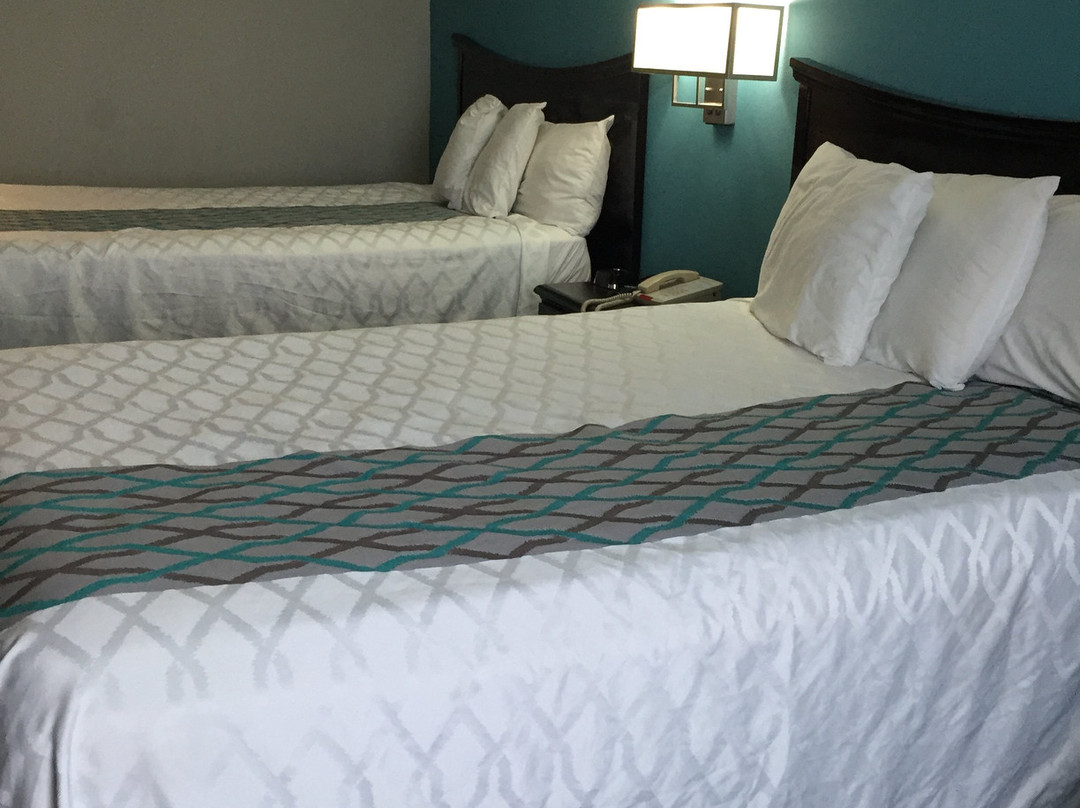 Knights Inn Nashville主图