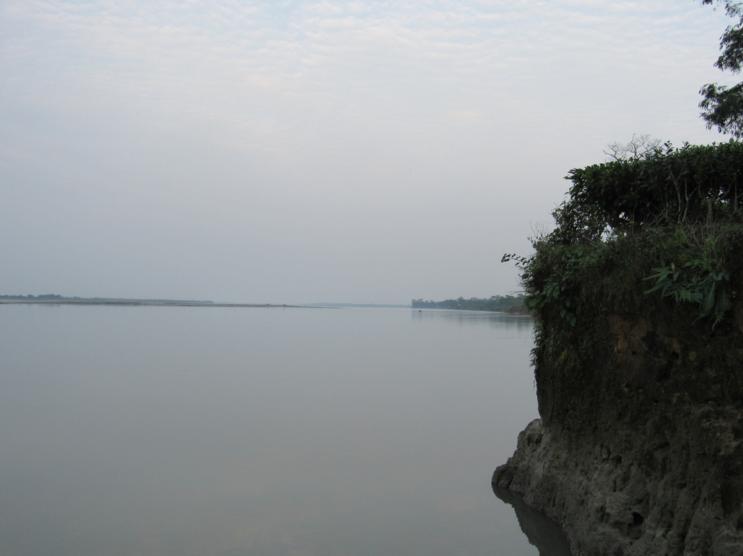 Dibru Saikhowa National Park景点图片
