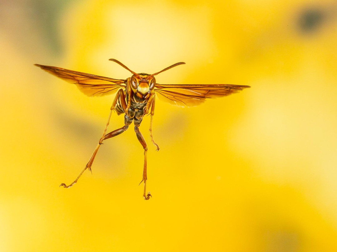 Big Bend Birding & Photo Tours-Terlingua必去景点