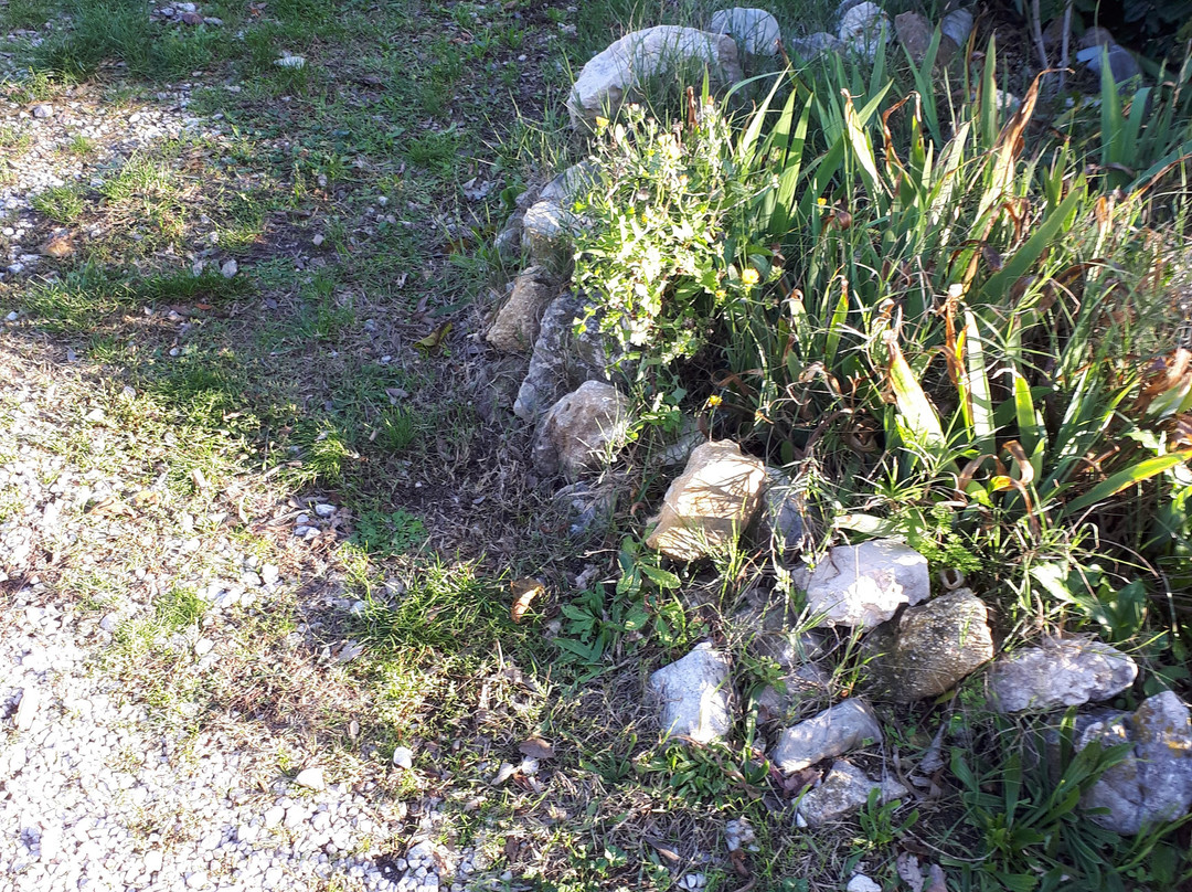 Auberge de Saugras主图