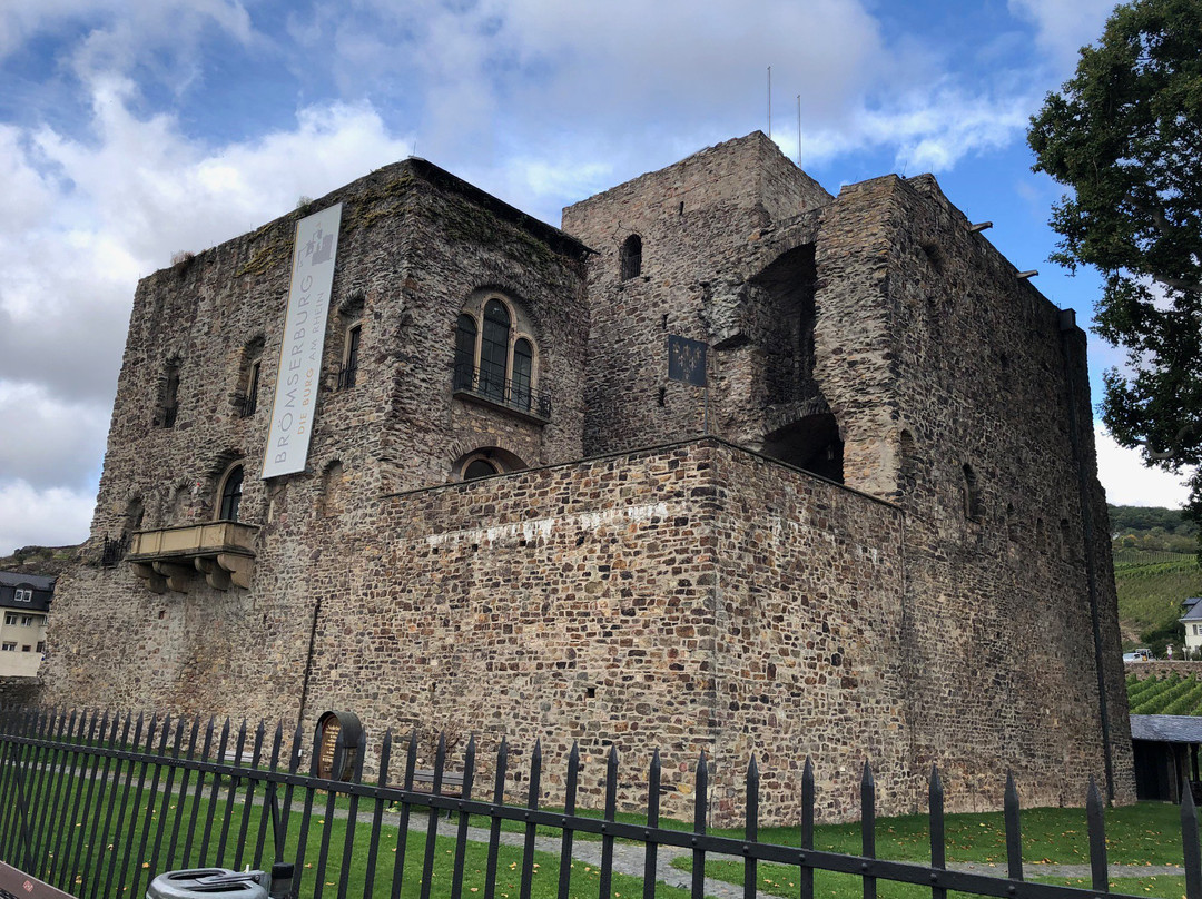 Rheingau Wine Museum Broemserburg Castle-吕德斯海姆必去景点