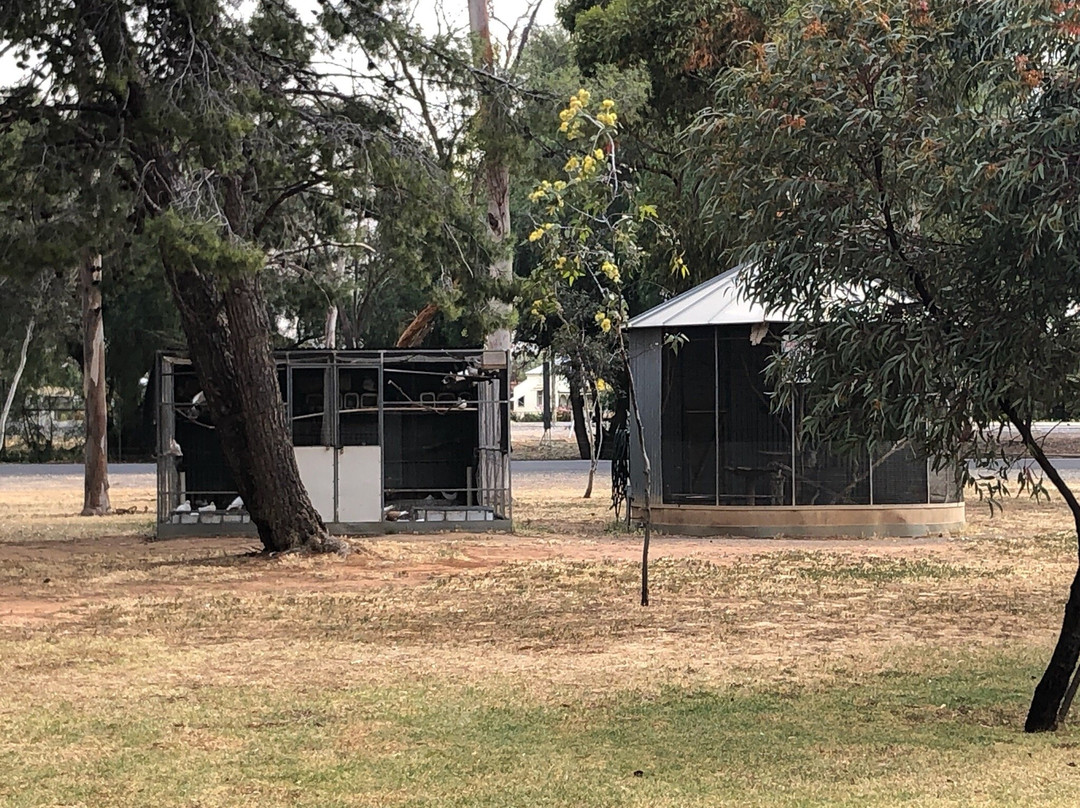 Centenary Park-Wycheproof必去景点