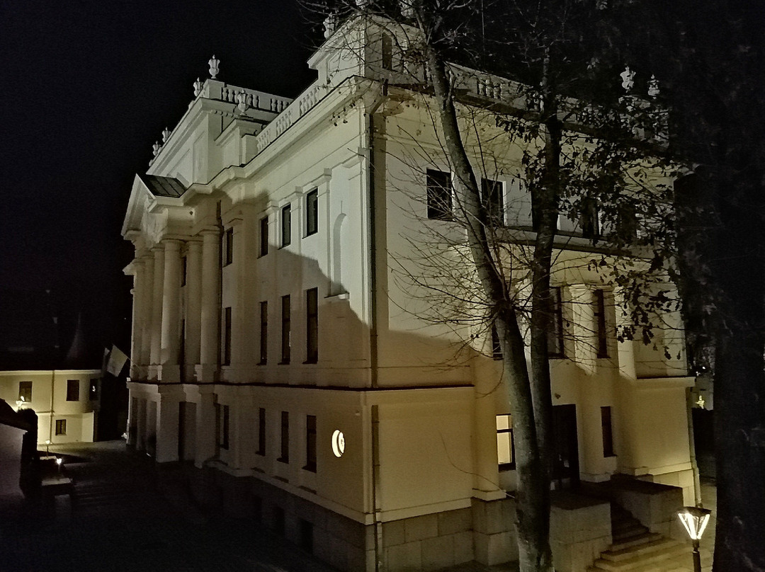 Villa Kaunensis主图