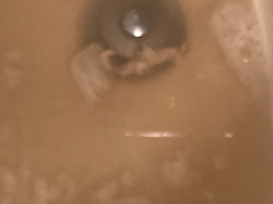 Quality Hotel & Conference Centre主图