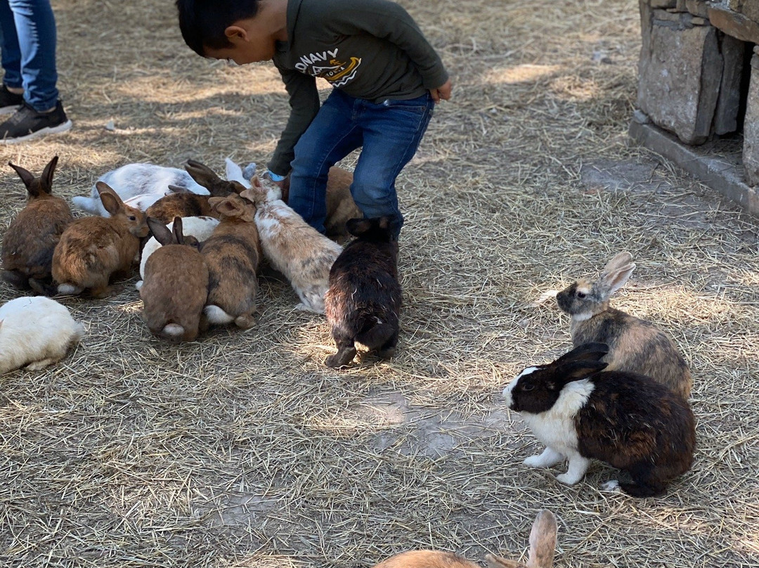 Expedición Amazonia-蒙特雷必去景点
