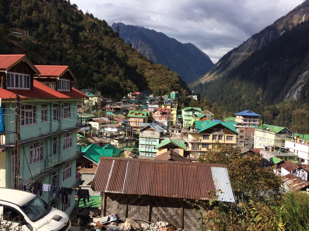 Delight Royal Lachen主图