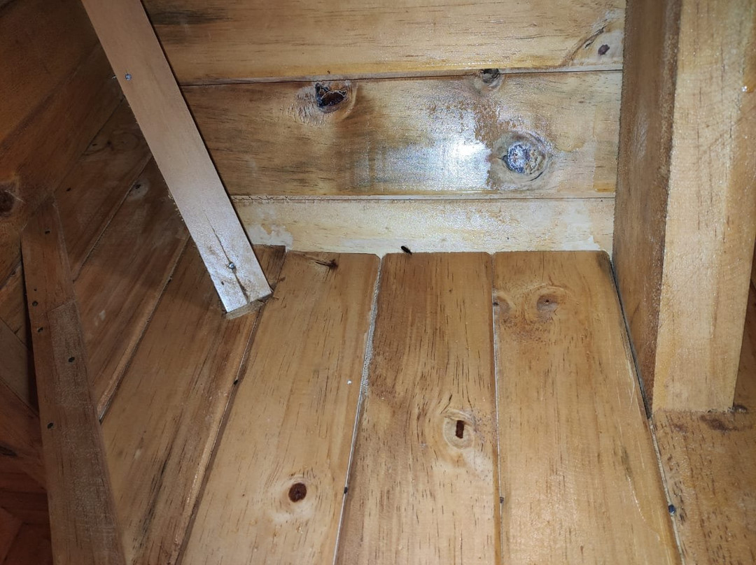 Altares de Oxapampa主图