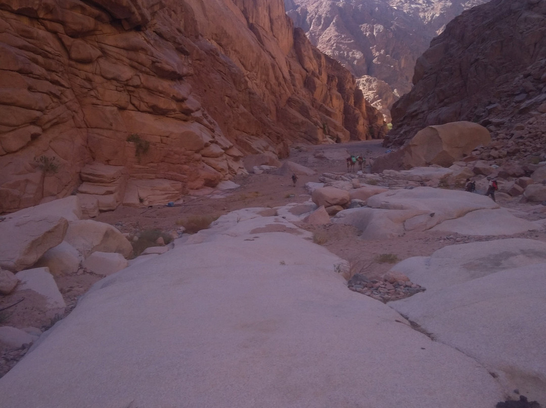 Ein Kid-达哈卜必去景点