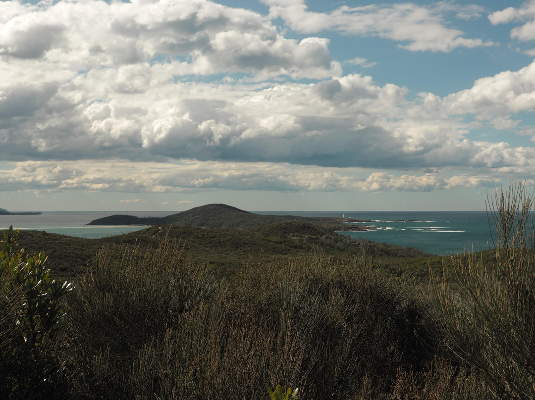 Tomaree Coastal Adventures-史蒂芬斯港必去景点