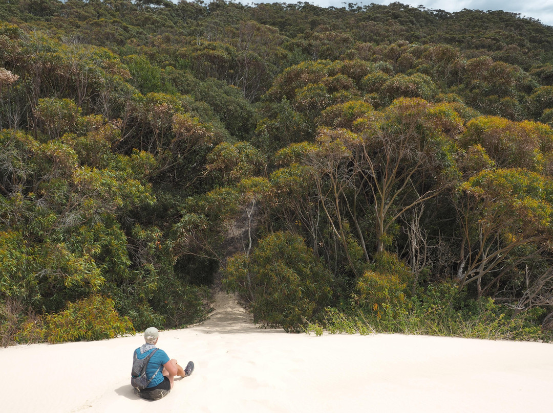 Tomaree Coastal Adventures-史蒂芬斯港必去景点