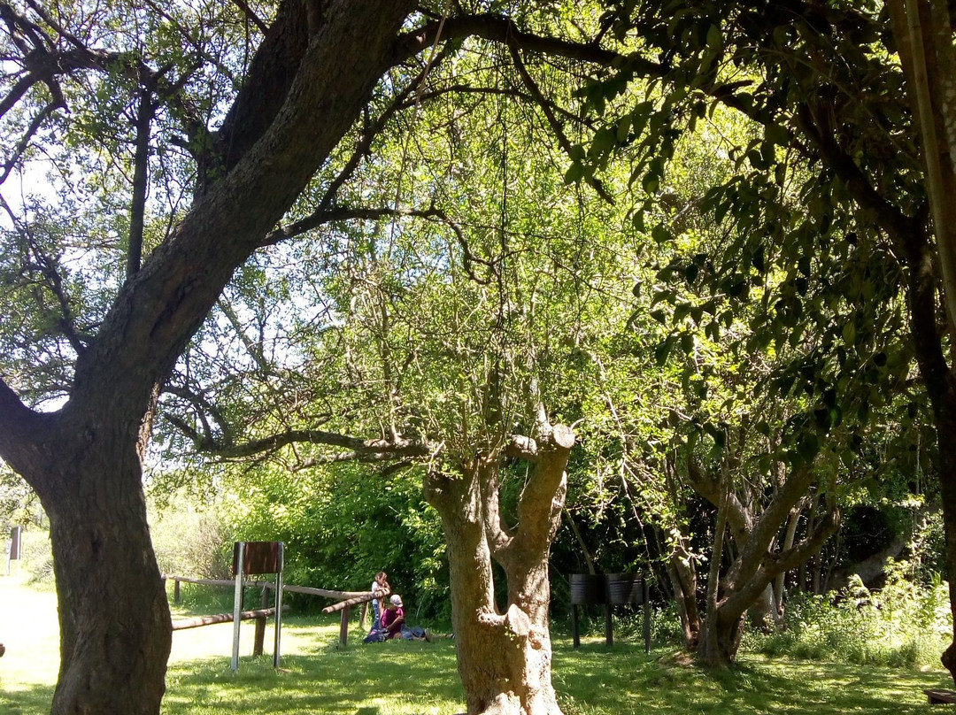 Parque Nacional Ciervo de los Pantanos景点图片