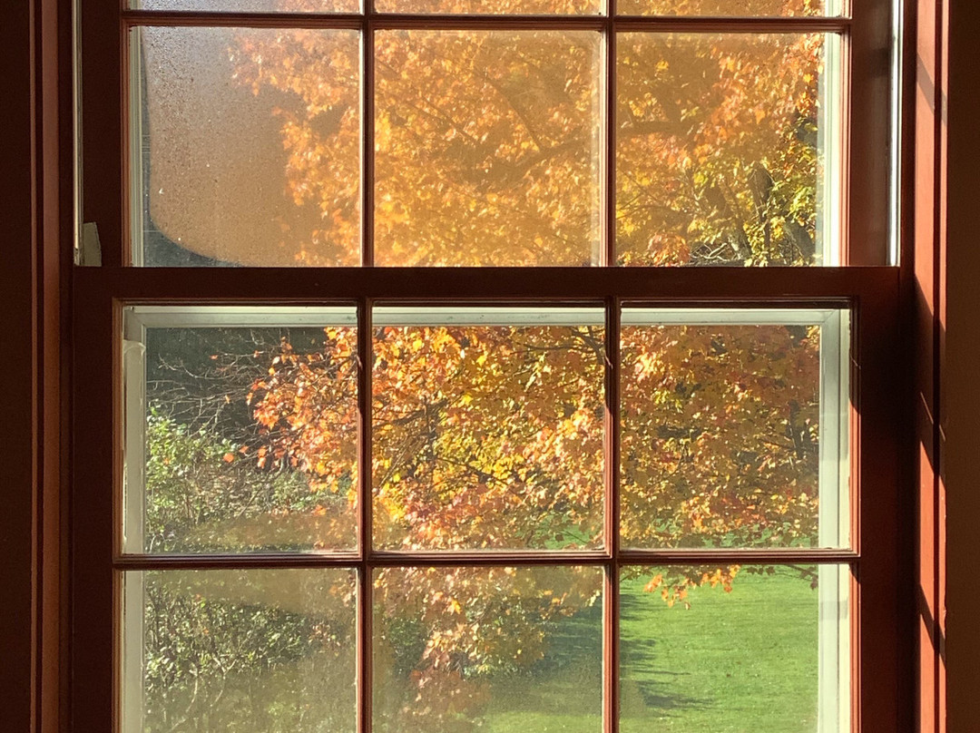 The Swanson Inn主图