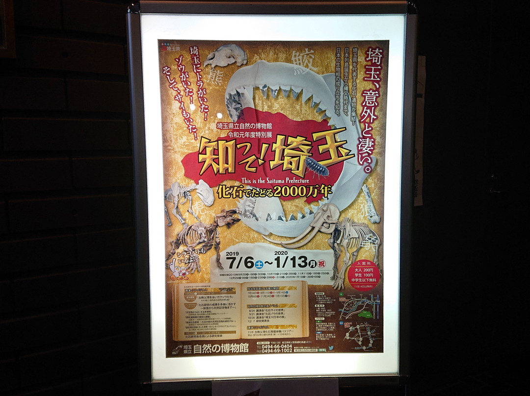 Saitama Museum of Natural History-长瀞町必去景点