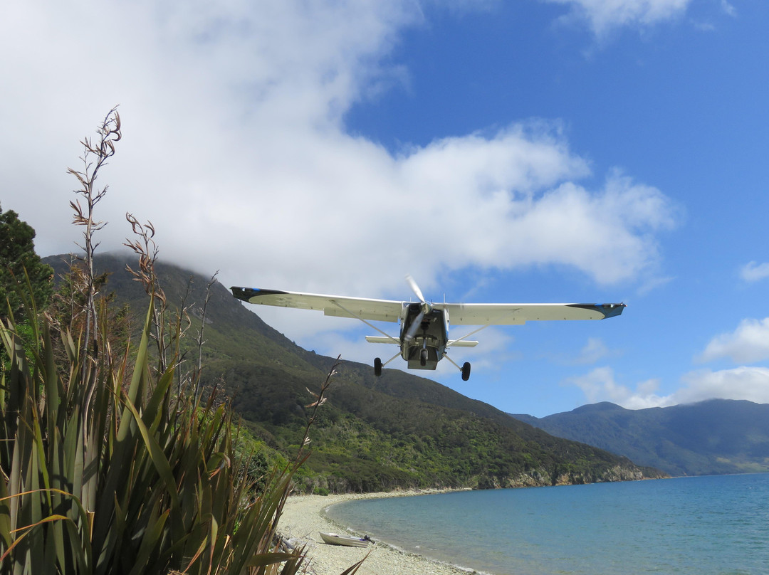 Pelorus Air景点图片