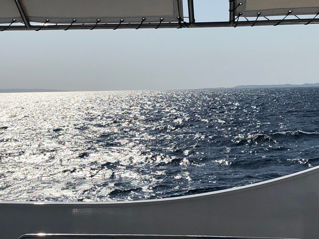 Dolphin House Aqua Center-赫尔格达必去景点