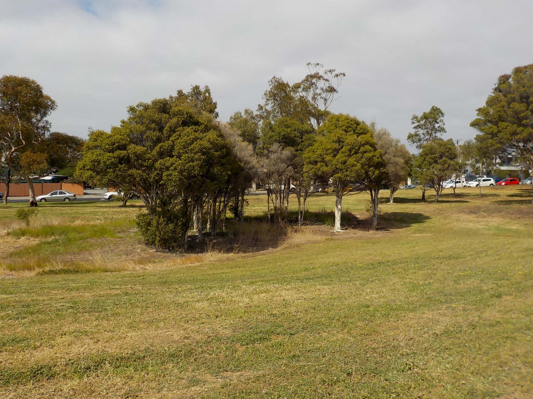 Newport Park景点图片