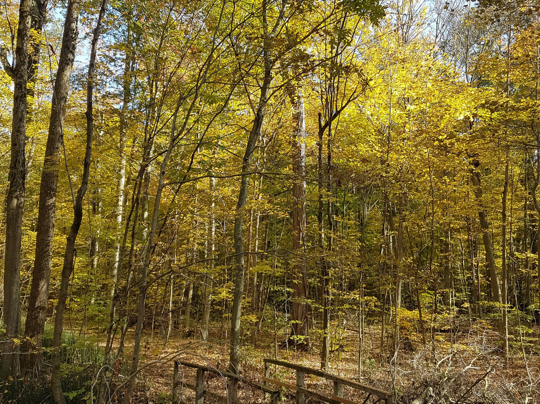 Springwater Conservation Area-Aylmer必去景点