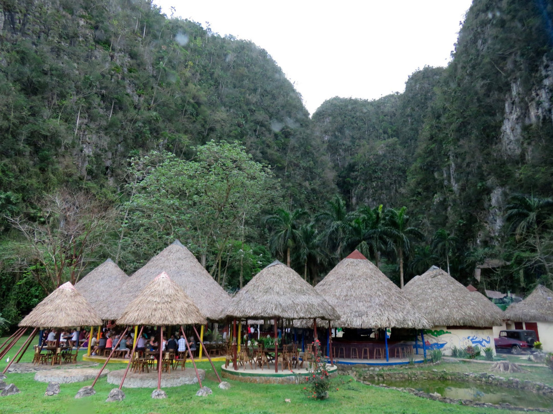 Palenque de los Cimarrones景点图片