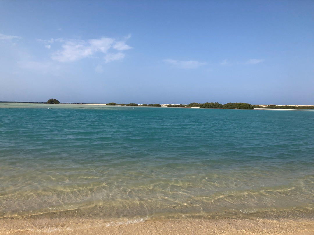 El Qulan Mangrove Forest-马萨阿拉姆必去景点