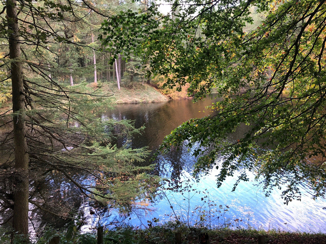 Derwent Visitor Centre景点图片