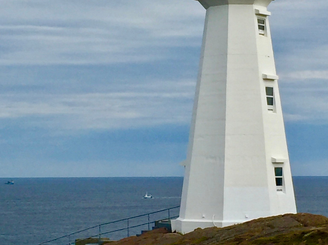Just Landed Tours-圣约翰必去景点