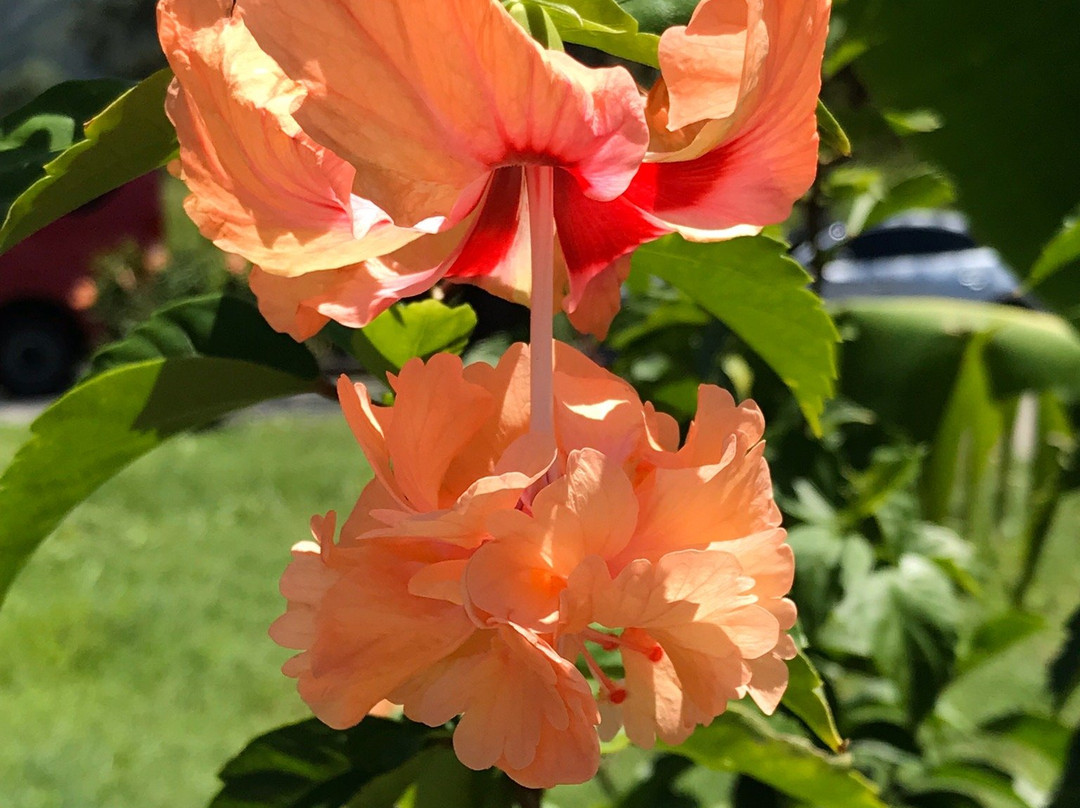 兰山-Agat必去景点